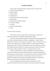 Vadovo funkcijos 11 puslapis