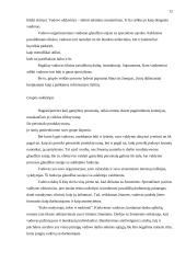 Vadovo funkcijos 12 puslapis