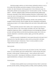 Vadovo funkcijos 13 puslapis