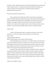 Vadovo funkcijos 14 puslapis