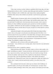 Vadovo funkcijos 16 puslapis