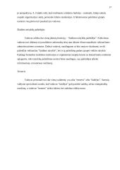 Vadovo funkcijos 17 puslapis