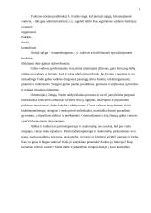 Vadovo funkcijos 3 puslapis