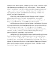 Vadovo funkcijos 5 puslapis