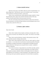 Vadovo funkcijos 6 puslapis