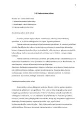 Vadovo funkcijos 8 puslapis