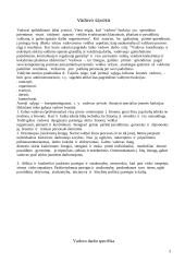 Vadovo funkcijos organizacijoje 3 puslapis