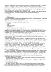 Vadovo funkcijos organizacijoje 6 puslapis