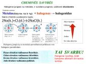 Halogenai. VIIA grupės elementai 12 puslapis