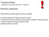 Halogenai. VIIA grupės elementai 3 puslapis