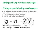 Halogenai. VIIA grupės elementai 9 puslapis