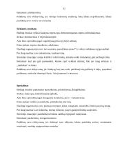 Vadovo komunikacija 11 puslapis