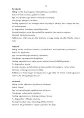 Vadovo komunikacija 12 puslapis