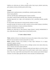 Vadovo komunikacija 13 puslapis