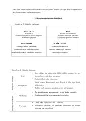 Vadovo komunikacija 15 puslapis