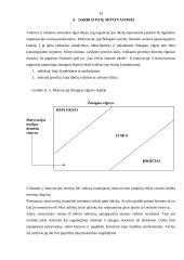 Vadovo komunikacija 17 puslapis