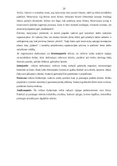 Vadovo komunikacija 18 puslapis