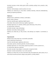 Vadovo komunikacija 9 puslapis