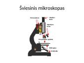Mikroskopija (skaidrės) 3 puslapis