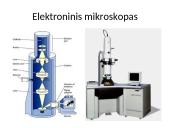 Mikroskopija (skaidrės) 6 puslapis