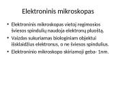 Mikroskopija (skaidrės) 7 puslapis
