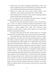 Ikimokyklinio amžiaus vaikų, turinčių kalbos neišsivystymą, žodyno turtinimas per kūrybinę veiklą 8 puslapis