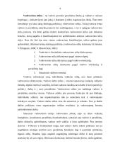 Vadovo valdymo modeliai 2 puslapis