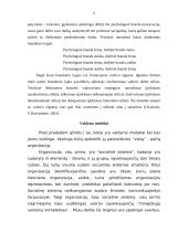 Vadovo valdymo modeliai 3 puslapis