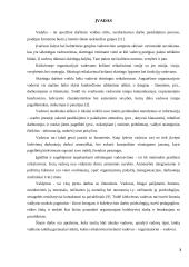 Vadovo-organizatoriaus asmenybė