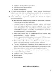 Vadovo-organizatoriaus asmenybė 3 puslapis