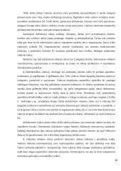 Vadovo-organizatoriaus asmenybė 10 puslapis