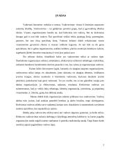 Vadovų tipai ir funkcijos 2 puslapis