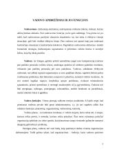 Vadovų tipai ir funkcijos 3 puslapis