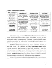 Vadovų tipai ir funkcijos 7 puslapis