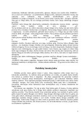 Vaidmenų atlikimas socialiniame ir asmeniniame gyvenime 5 puslapis