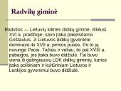 Radvilos. Mikalojus Konstantinas Radvila Našlaitėlis 