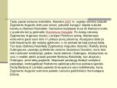 Radvilos. Mikalojus Konstantinas Radvila Našlaitėlis  11 puslapis