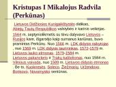 Radvilos. Mikalojus Konstantinas Radvila Našlaitėlis  13 puslapis