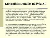 Radvilos. Mikalojus Konstantinas Radvila Našlaitėlis  20 puslapis
