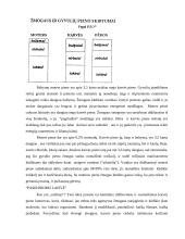 Vaiko žindymas 15 puslapis