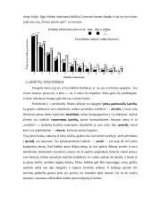 Vaiko žindymas 4 puslapis