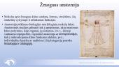 Žmogaus organizmo sistemų anatomija 2 puslapis