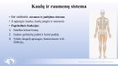 Žmogaus organizmo sistemų anatomija 13 puslapis