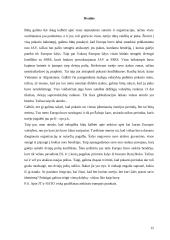 Europos integracija bipoliariniame pasaulyje 12 puslapis