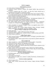 Europos integracija bipoliariniame pasaulyje 16 puslapis