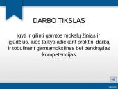 Šilumos kiekis. Praktinis darbas 2 puslapis