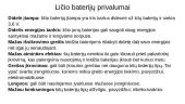 Ličio panaudojimas baterijose 10 puslapis