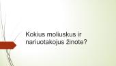 Moliuskai. Nariuotakojai  2 puslapis