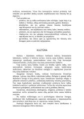 Vakarų ir rytų šalių vertybių sąveikos bruožai 2 puslapis