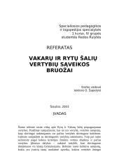 Vakarų ir rytų šalių vertybių sąveikos bruožai 7 puslapis